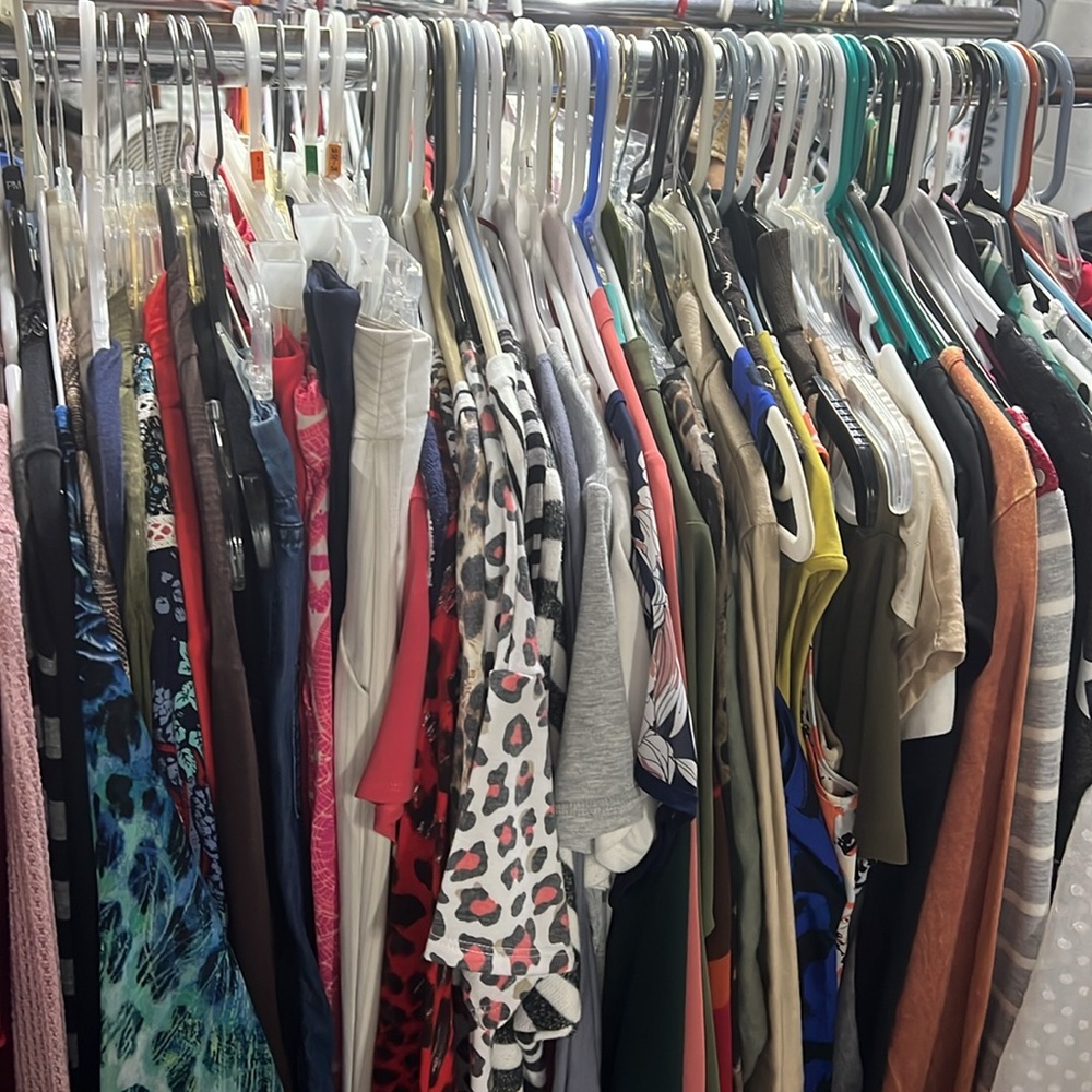 Closet Cleanout Posh Show - Picture 4 of 4